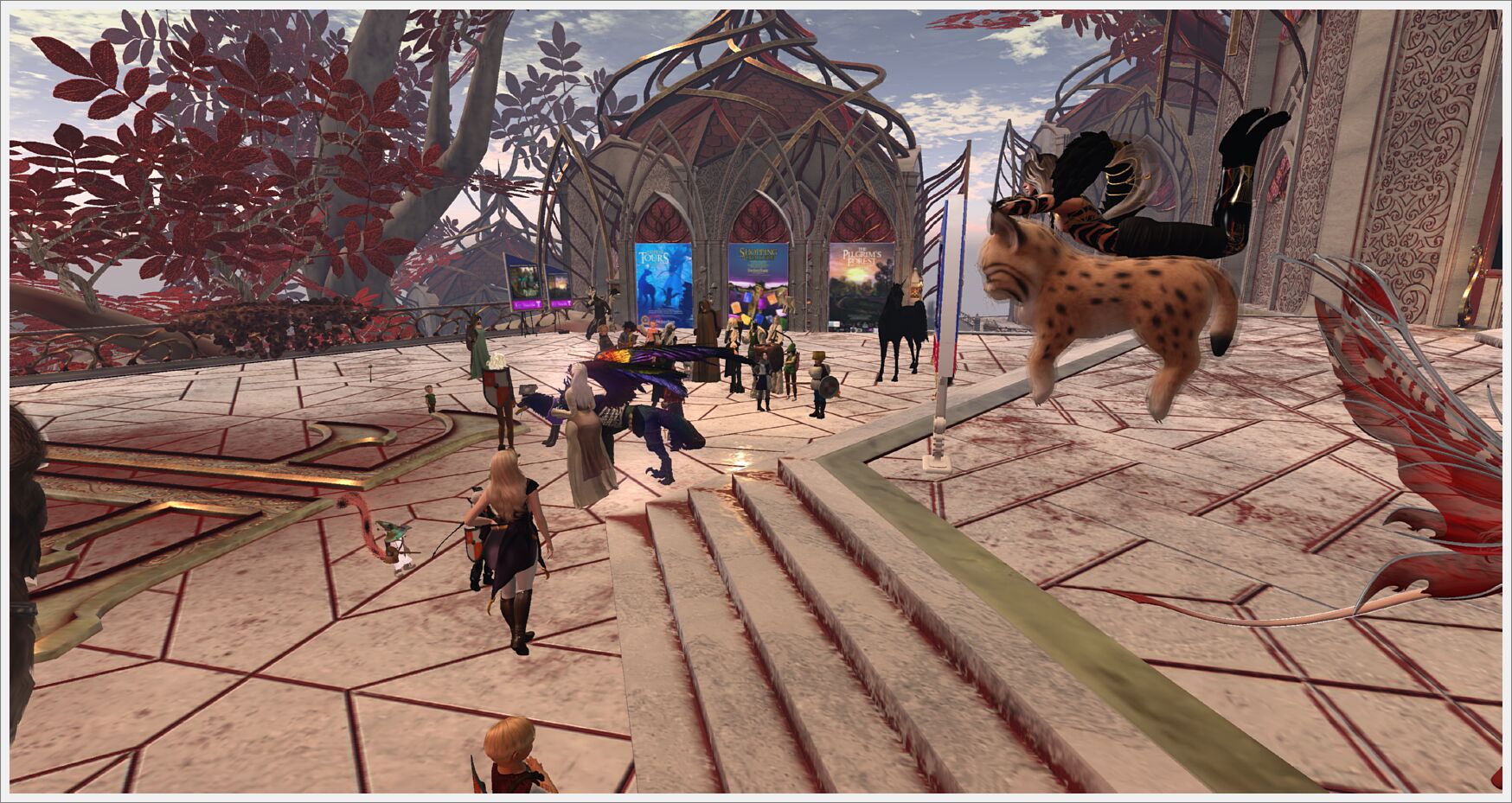 bards day 5-021